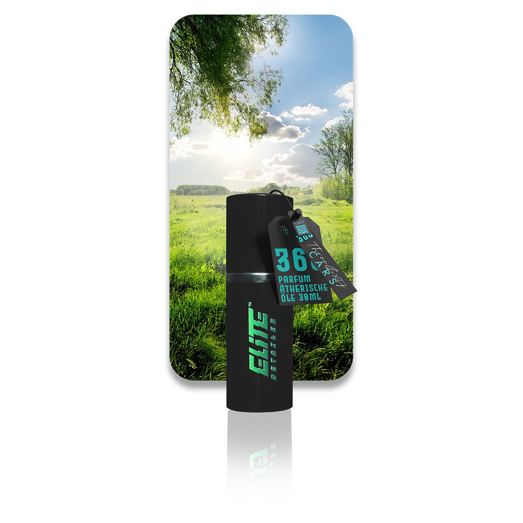 Prestige Spring 30ml - Autoduft, Autoparfum